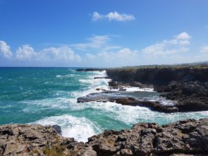 Views from Animal Flower Cave Barbados