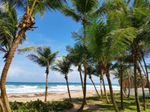 Cattlewash Beach Barbados