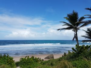 Bathsheba Beach Barbados