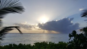 Barbados Rum Punch