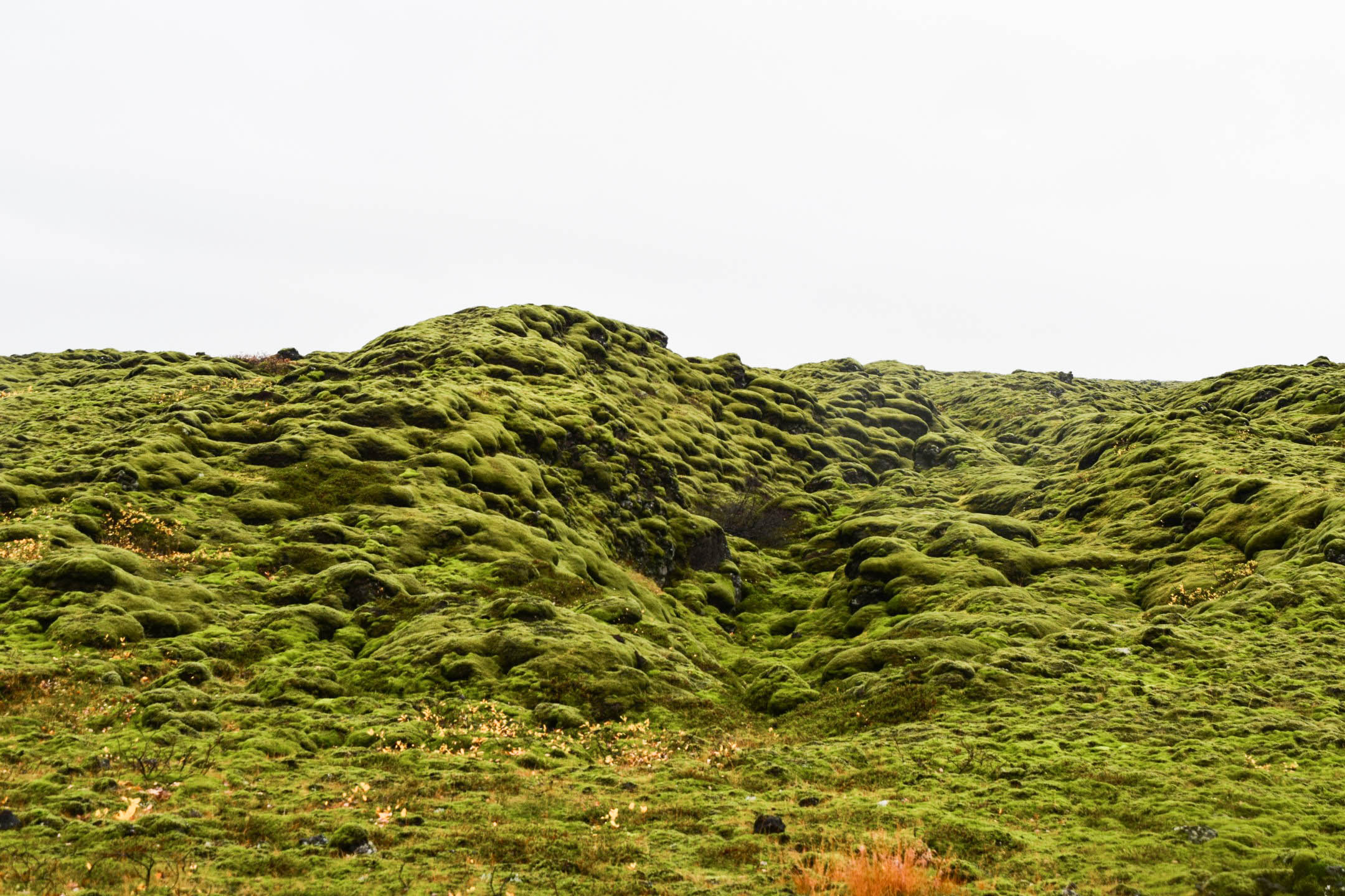 Views along Iceland's South Coast