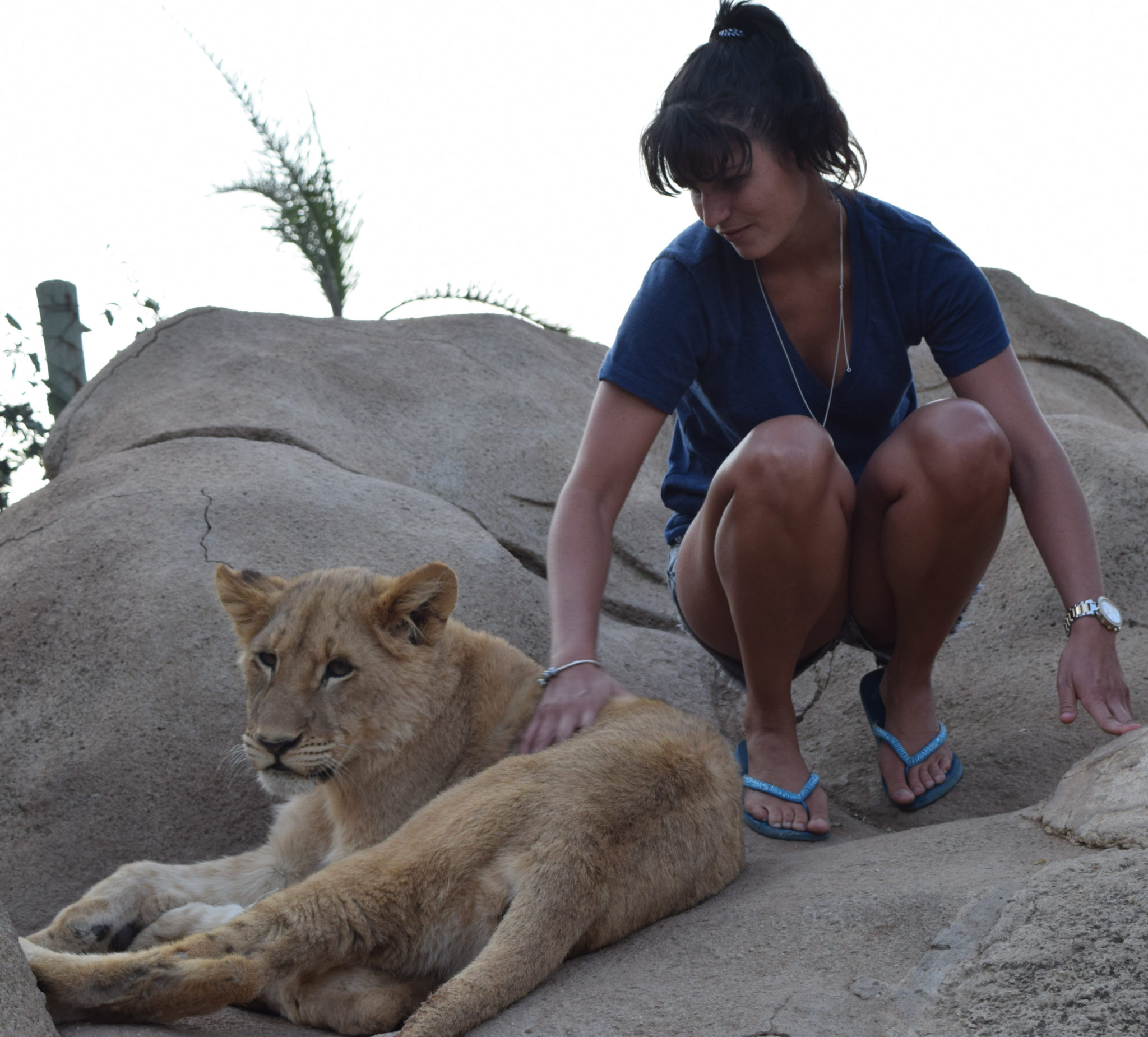 Activities in Johannesburg