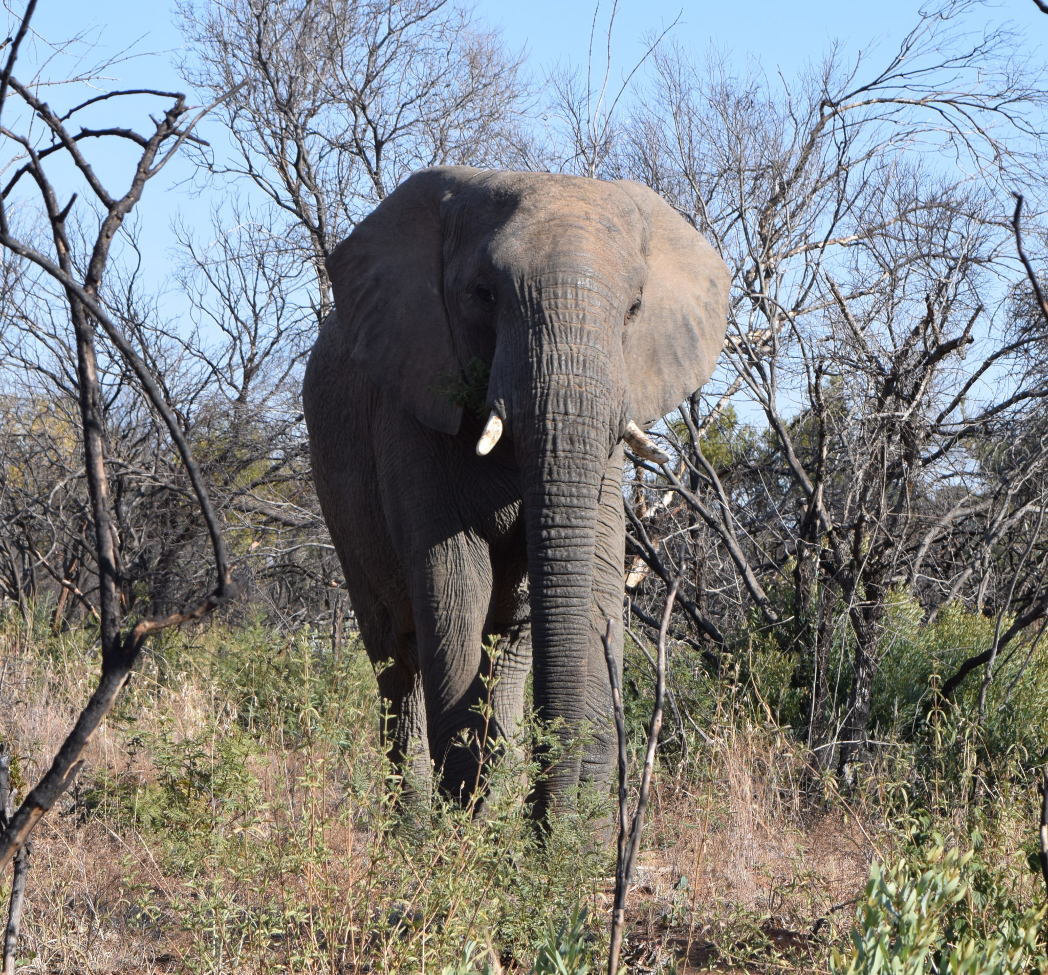 Activities in Johanessburg