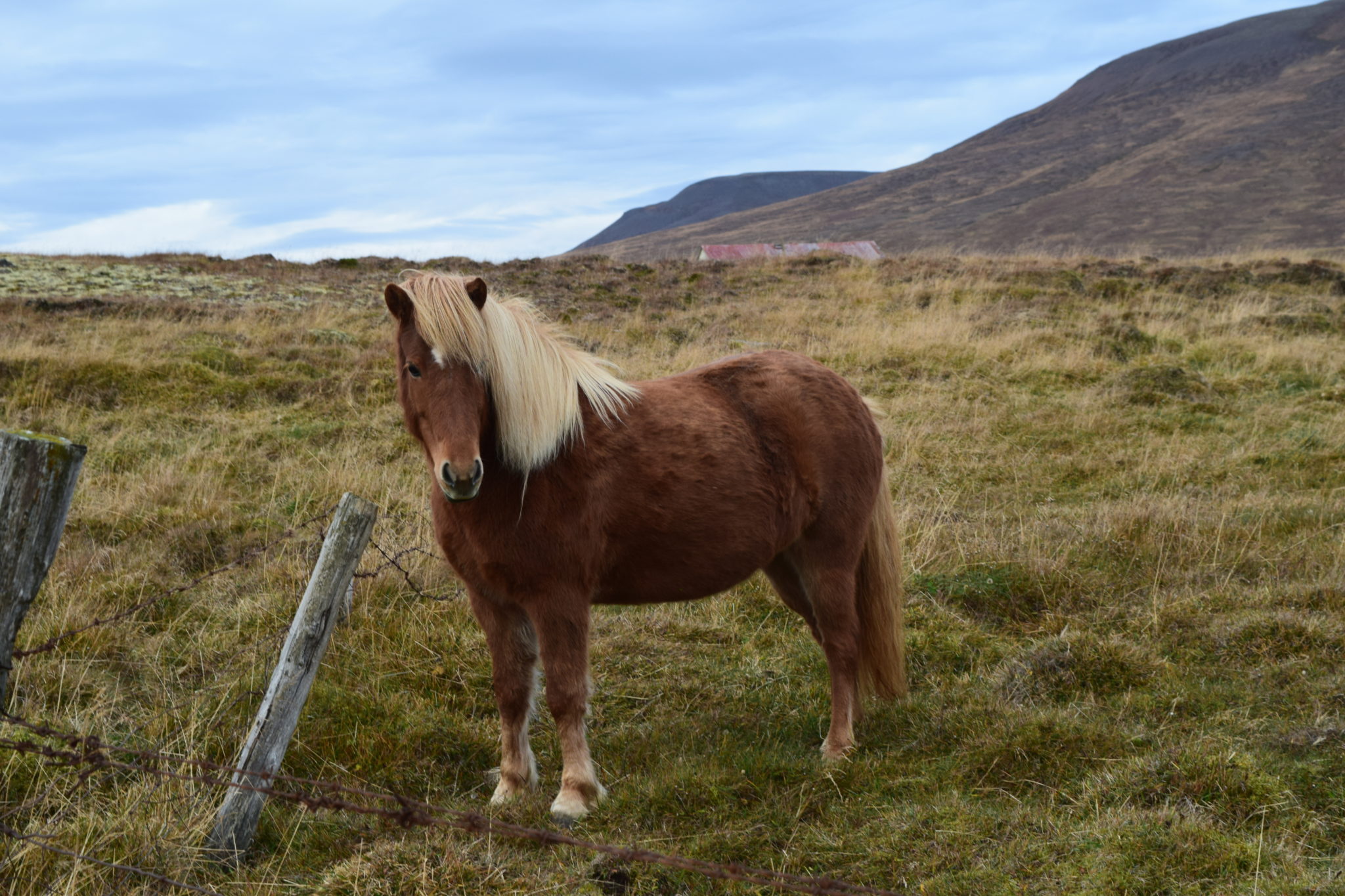 North Iceland