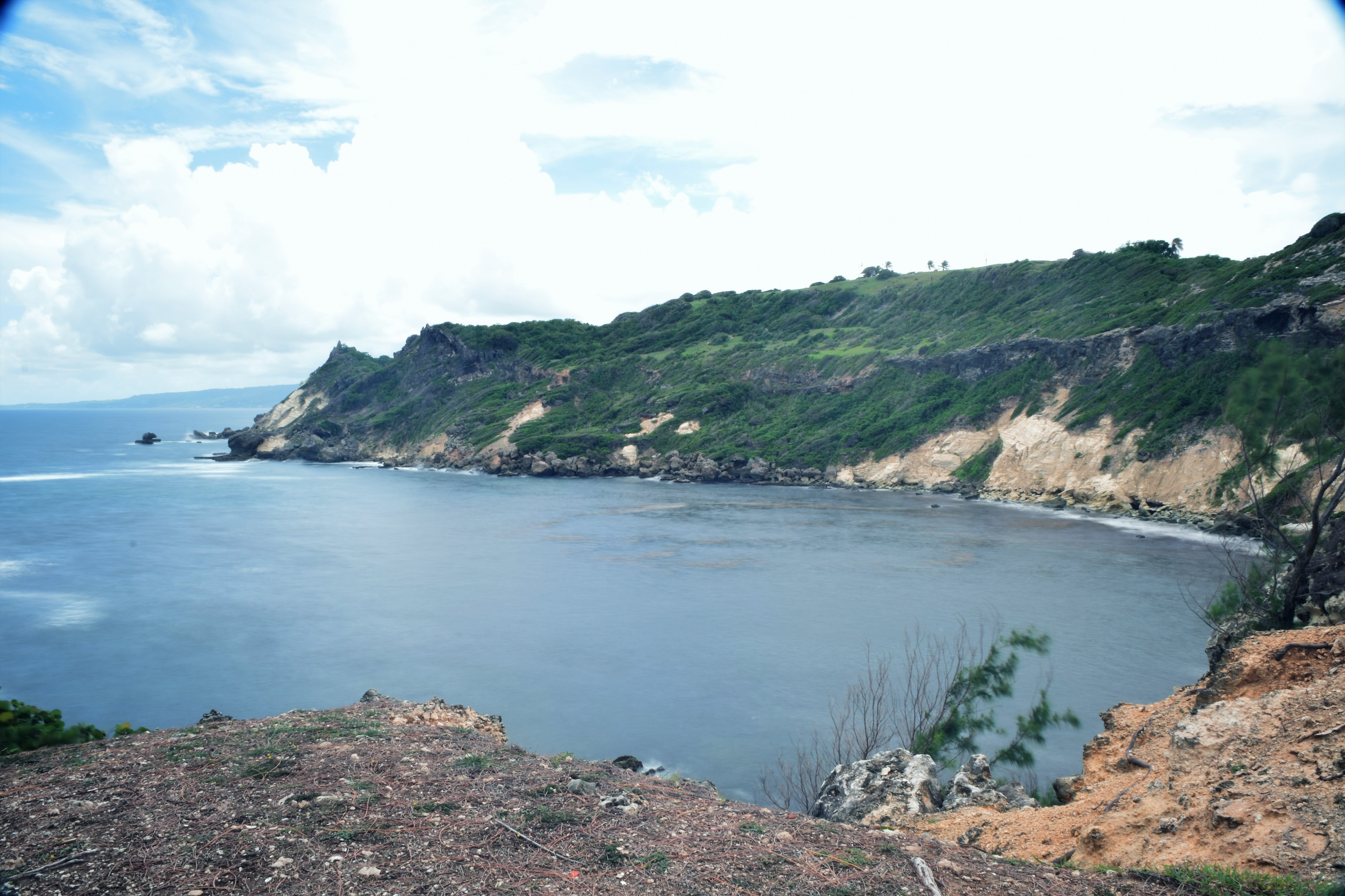 Cove Bay Barbados