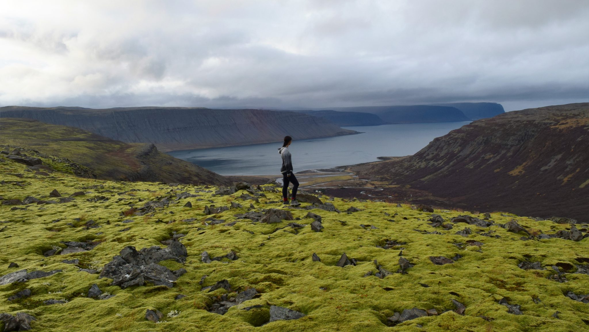 Iceland's Westfjords