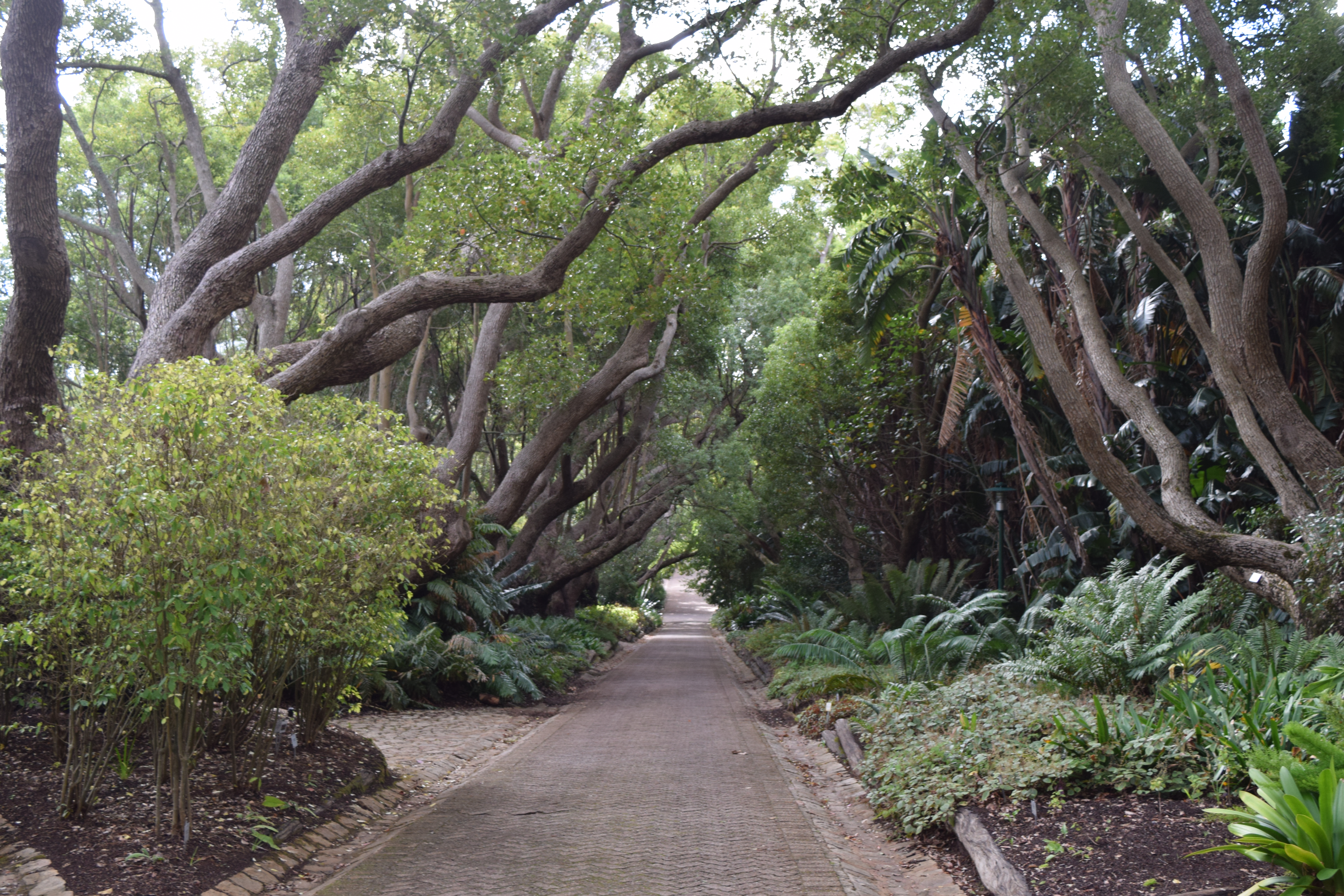 6 Days in Cape Town