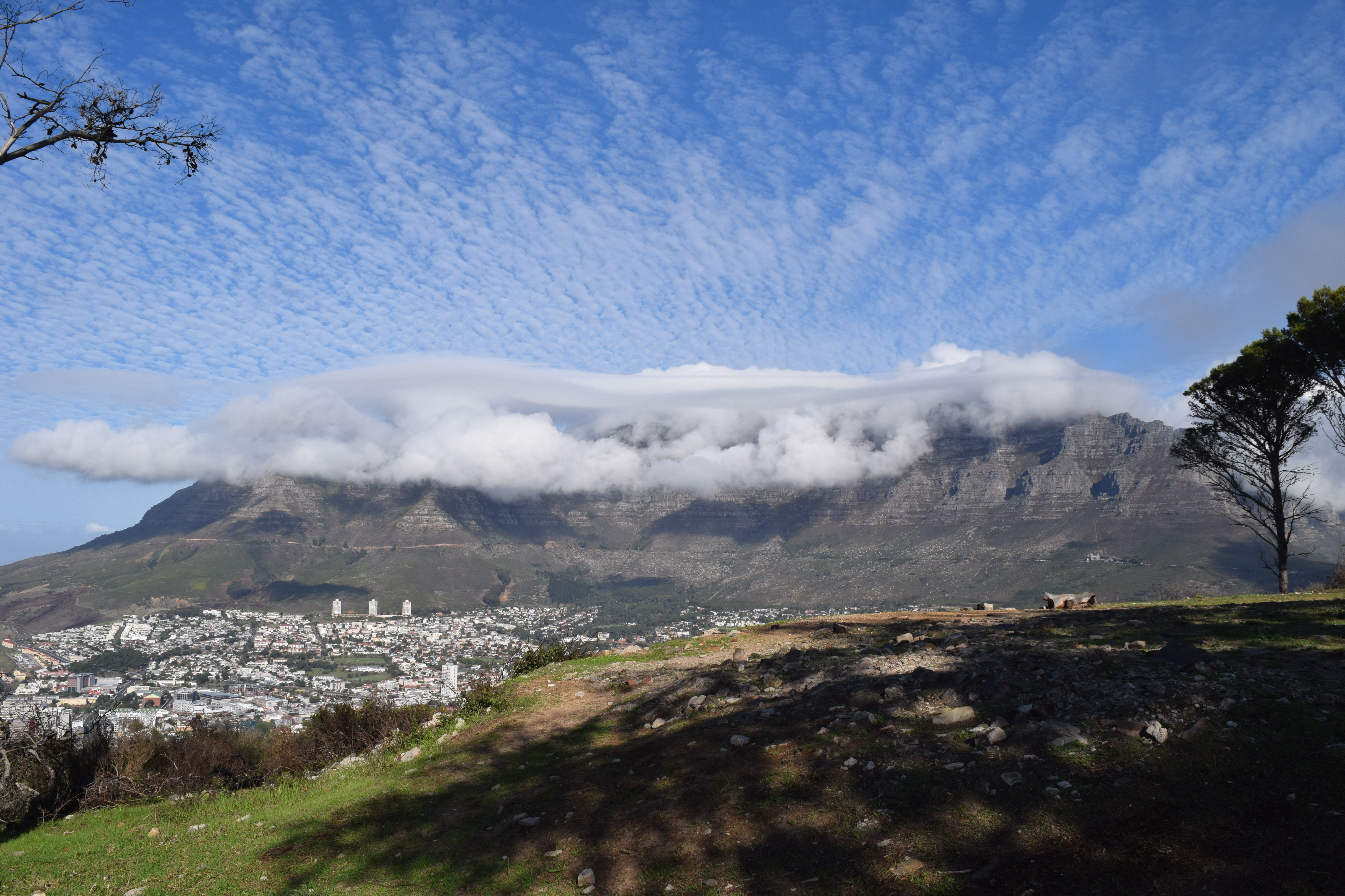 6 Days in Cape Town