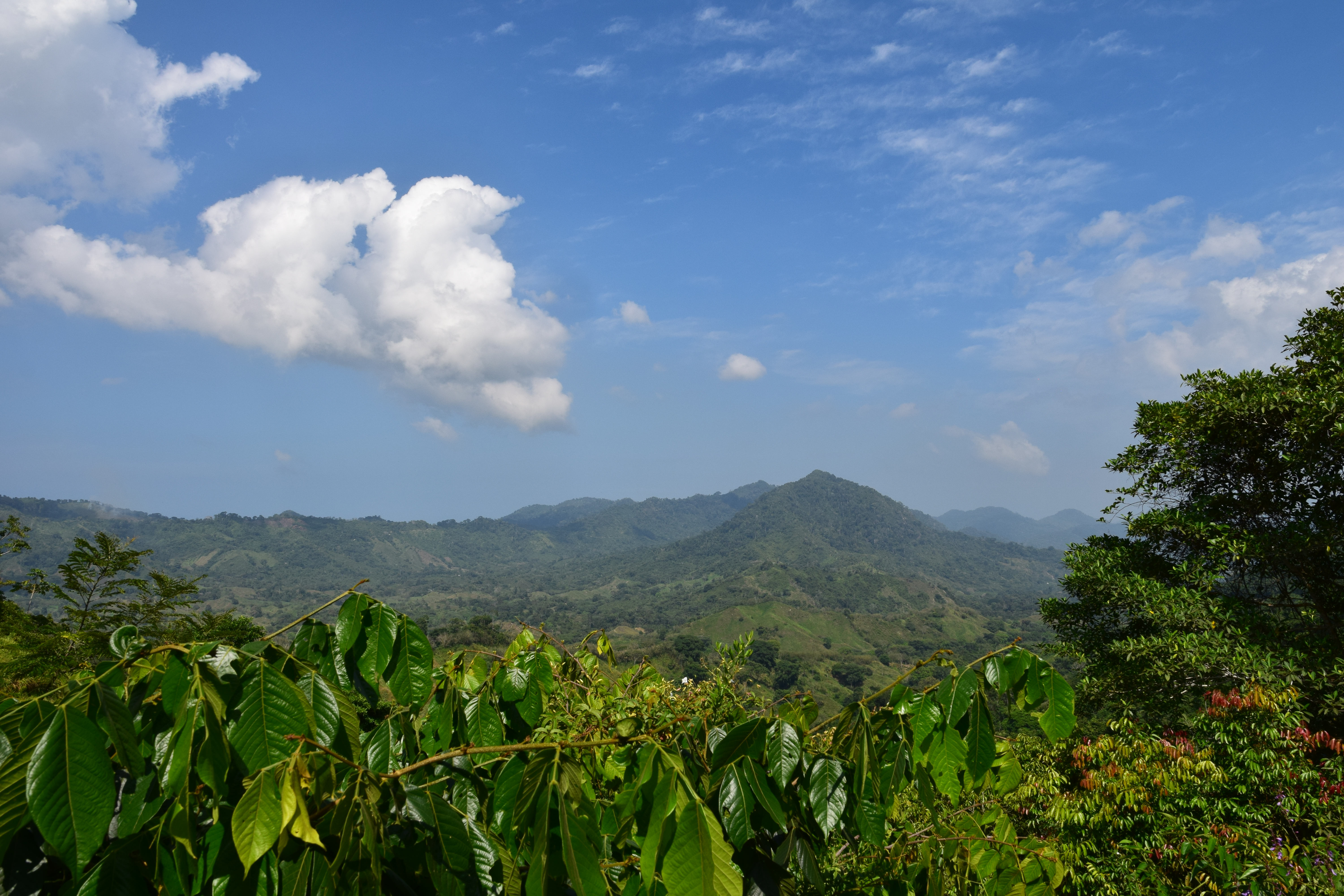 Hiking to Cuidad Perdida