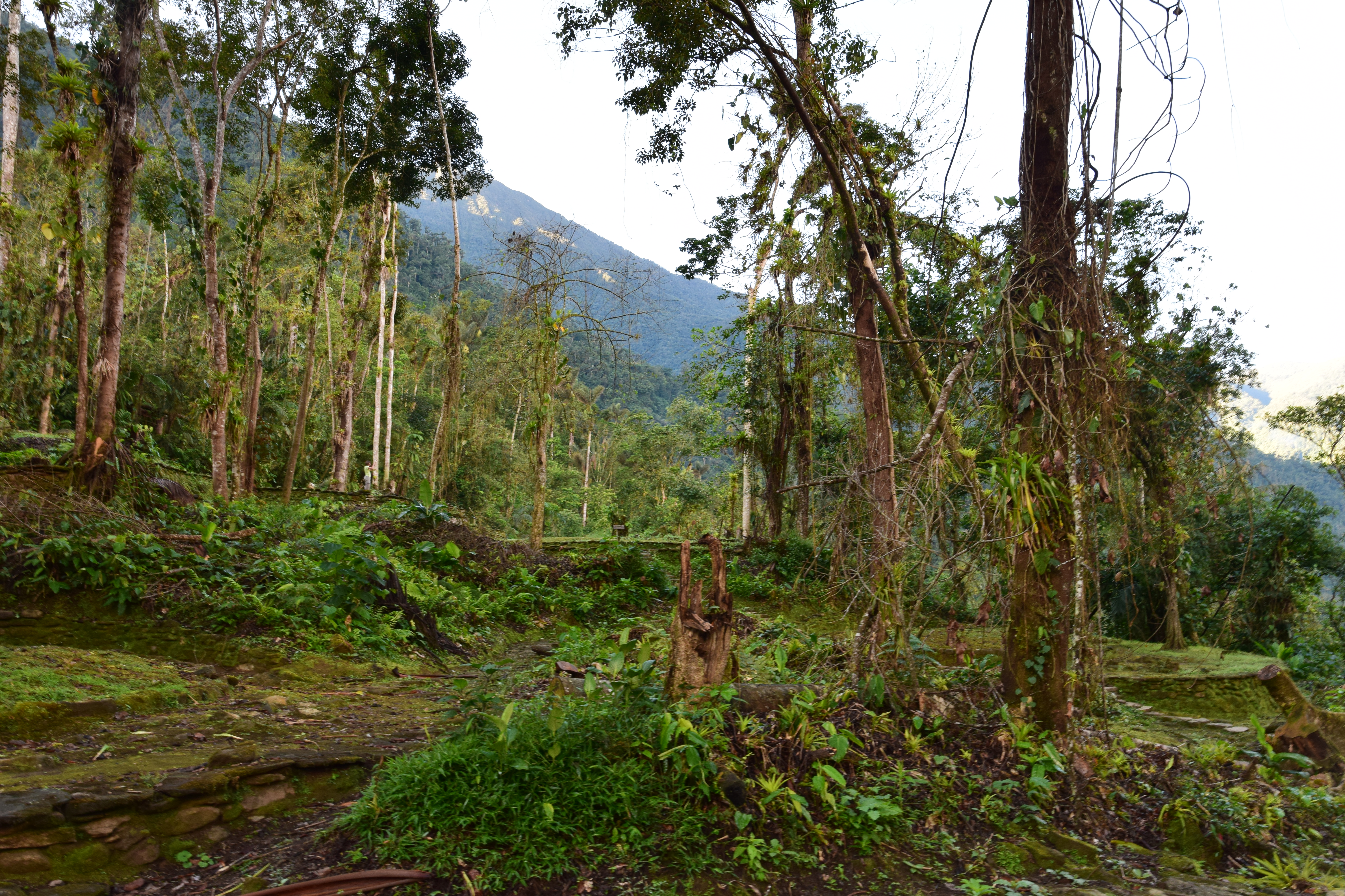 Hiking to Cuidad Perdida