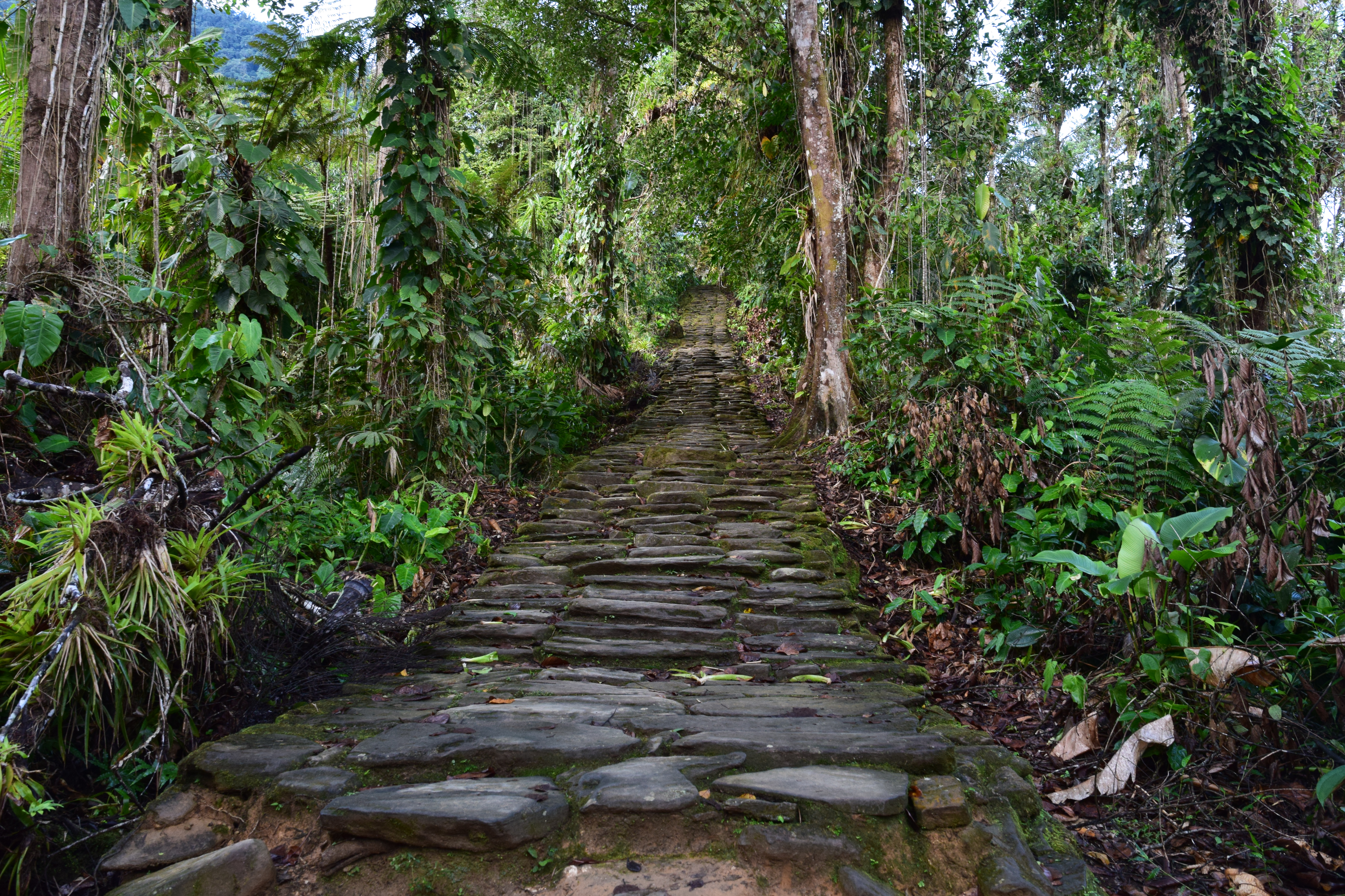 Hiking to Cuidad Perdida