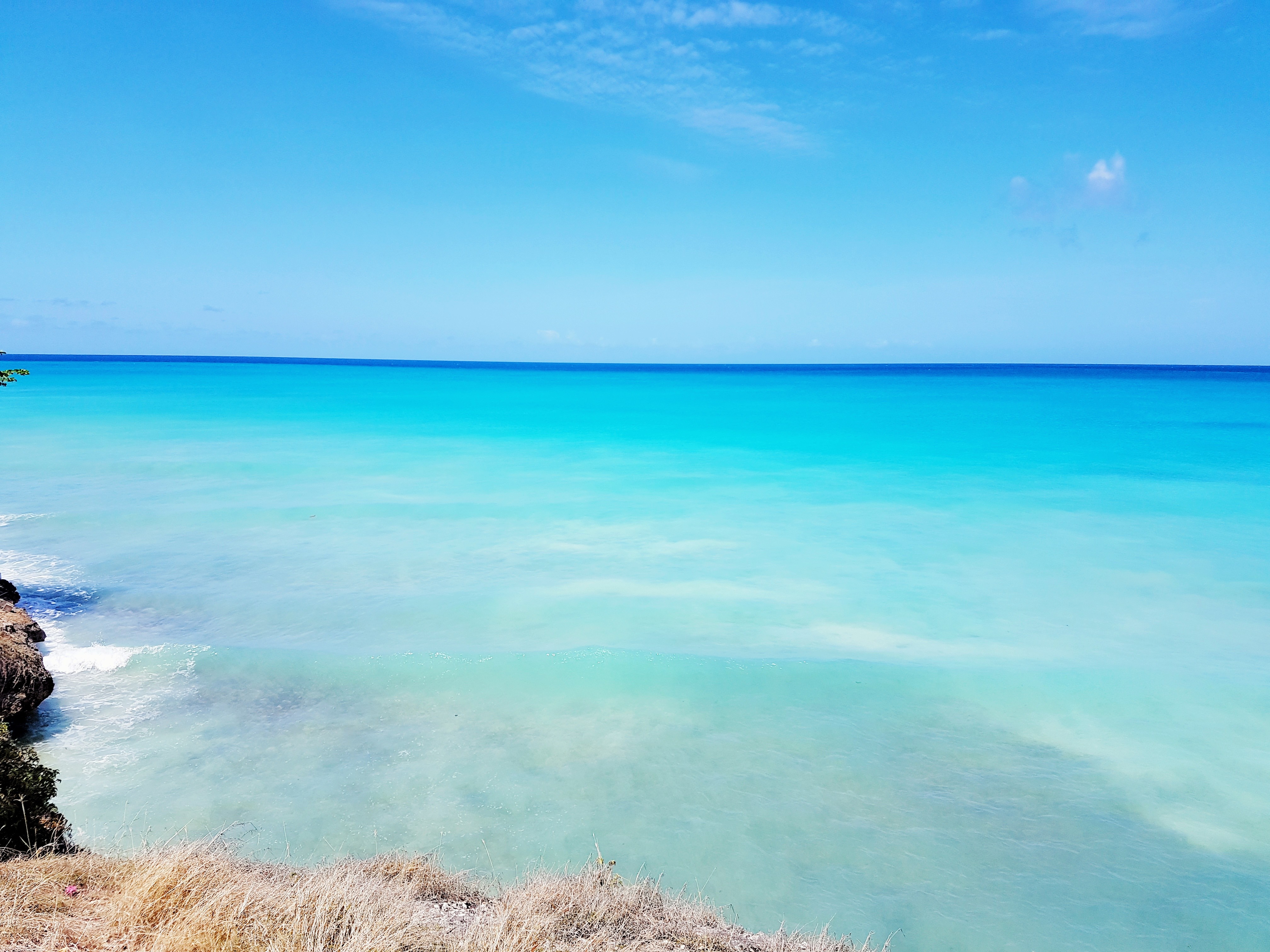 Where to swim with Sea Turtles in Barbados