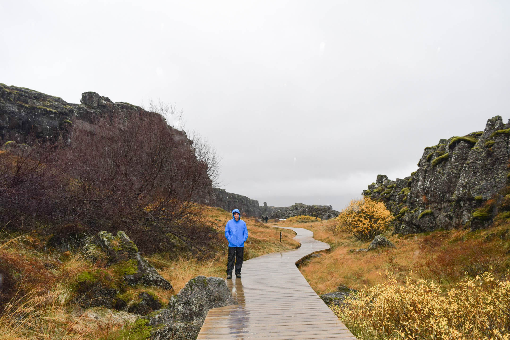 Thingvellir National Park Iceland