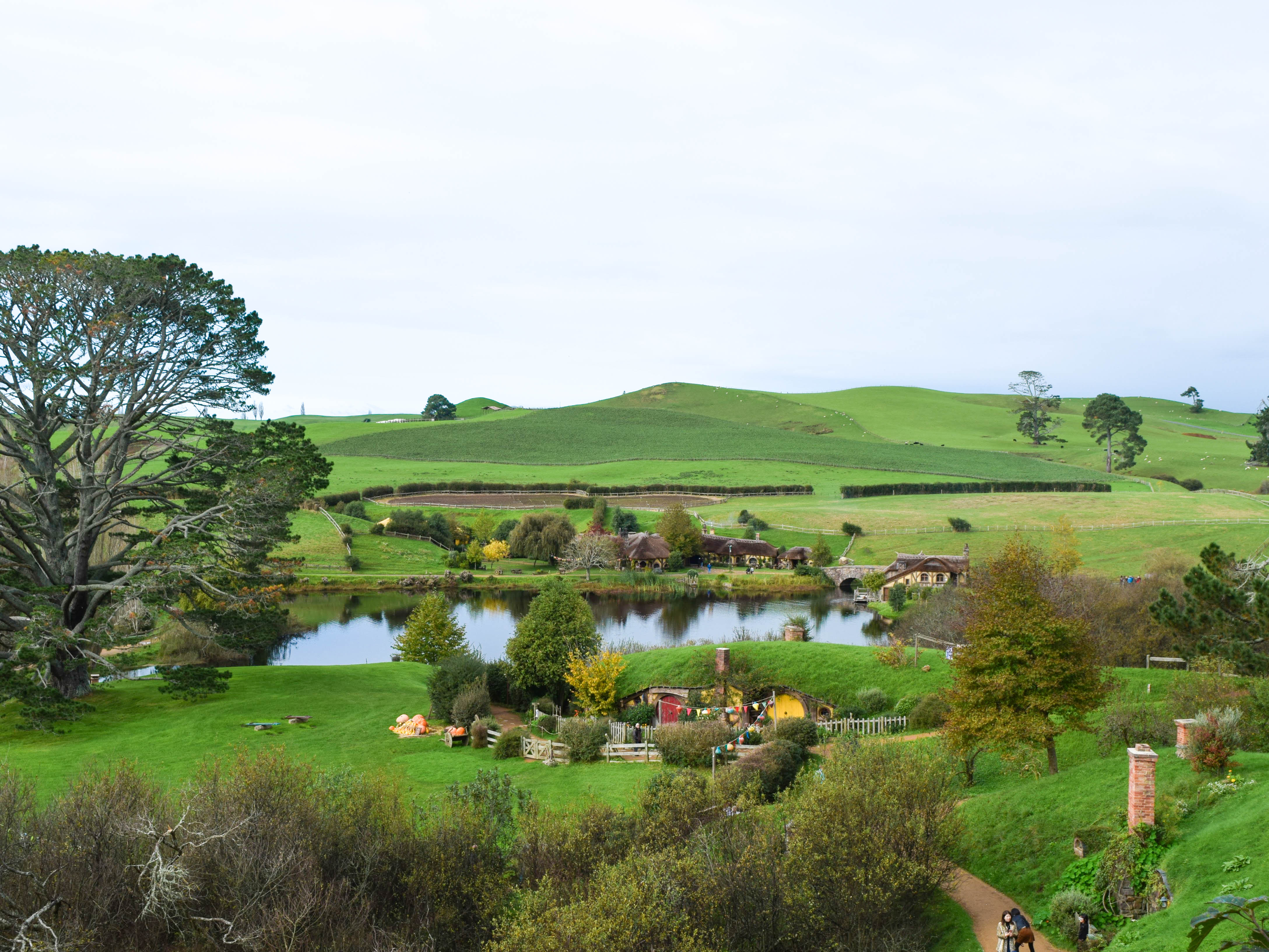 A view of Hobbiton Movie Set New Zealand