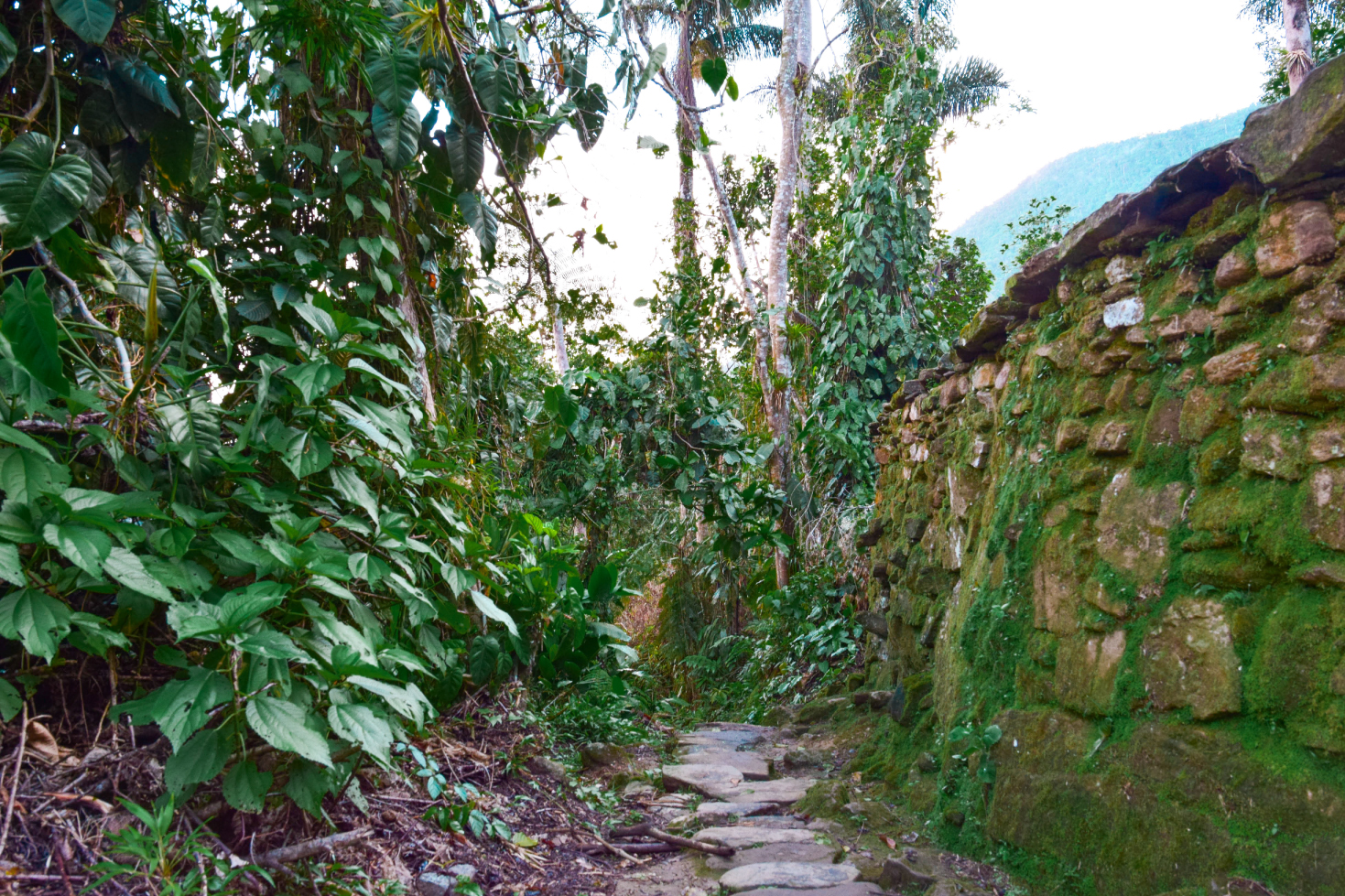 Ciudad Perdida Trek