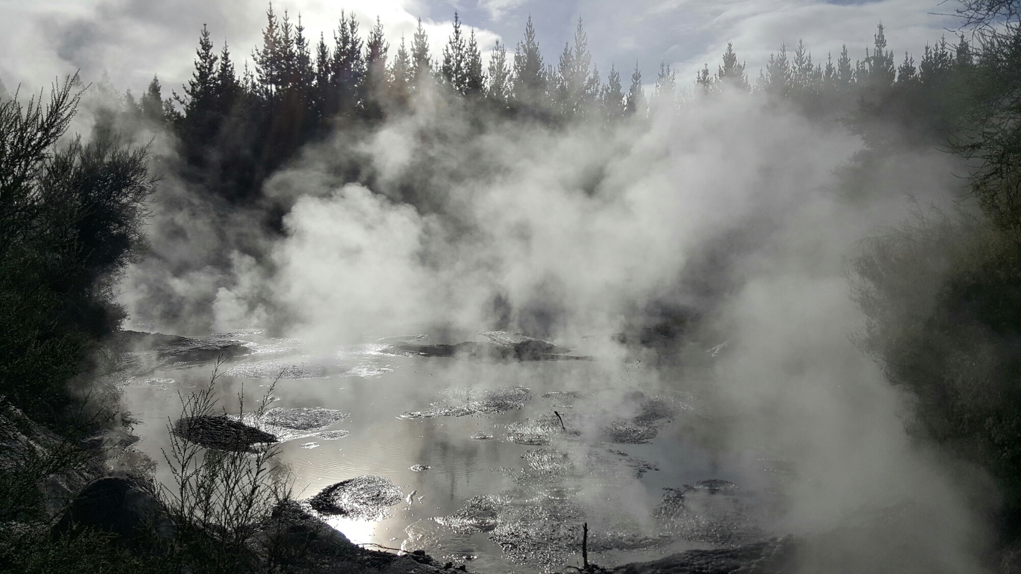 Mud Pools Wai-o-tapu Rotorua