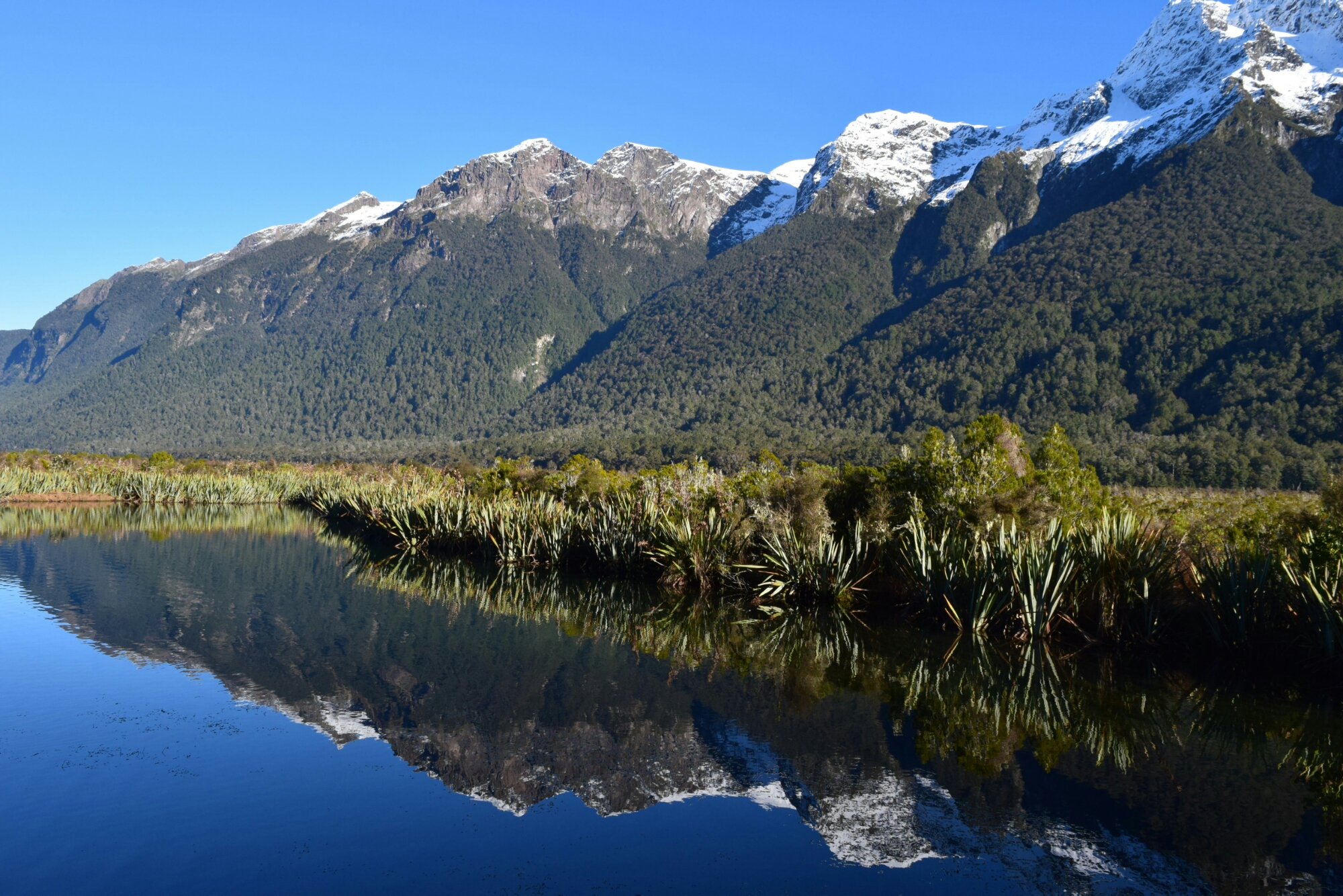 Mirror Lakes Fiordland National Park