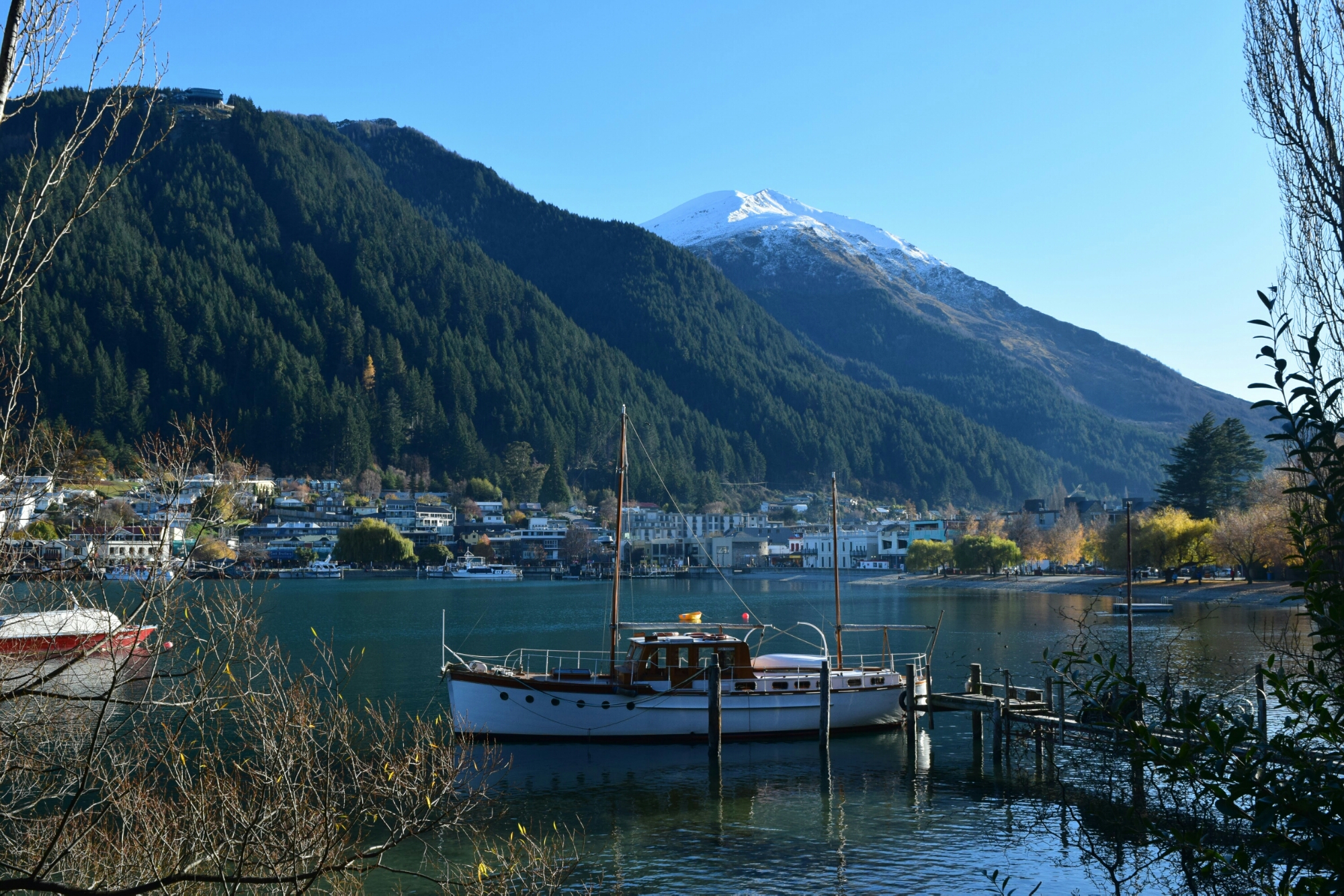 View of Queenstown from the botanical gardens