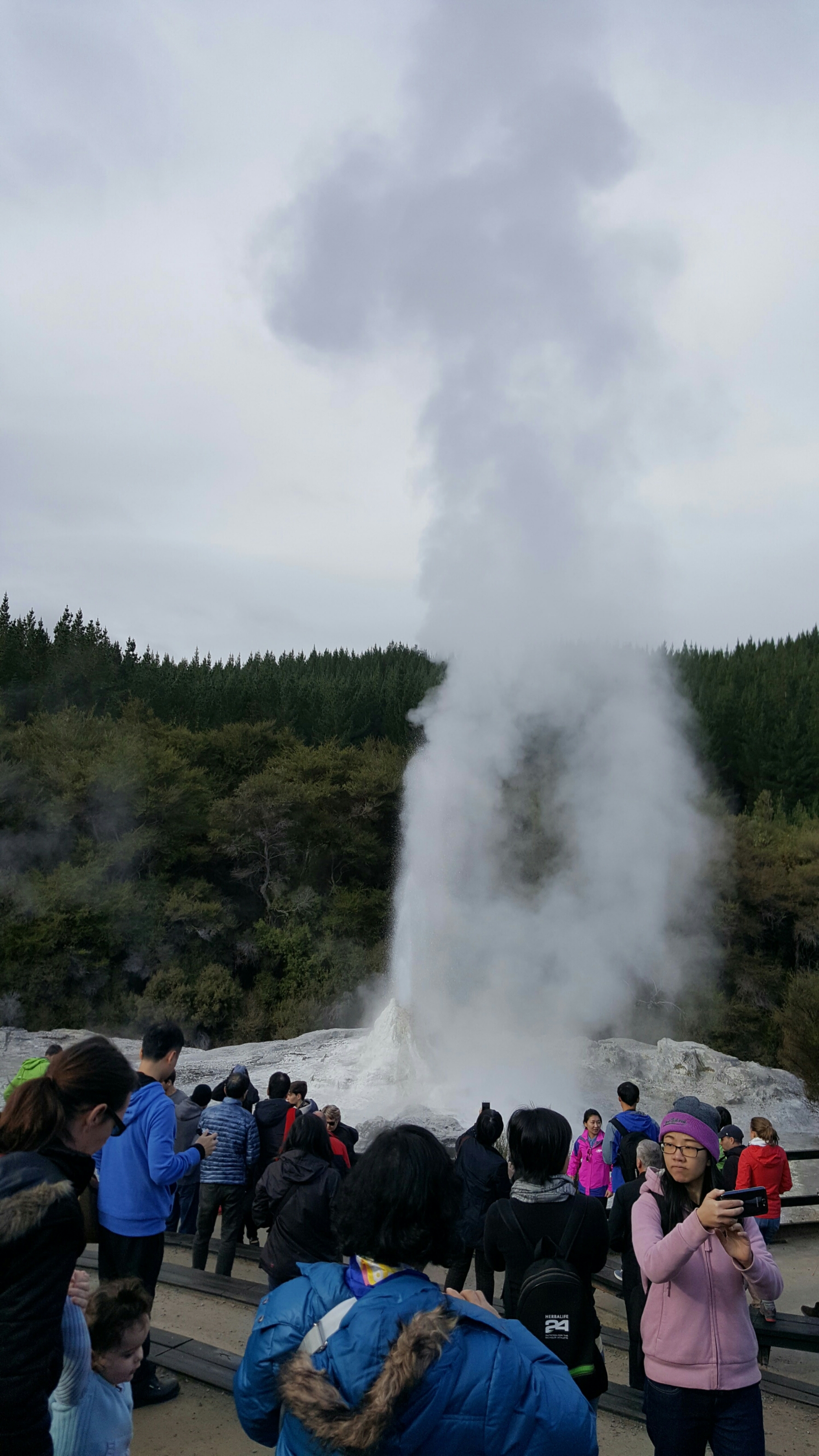 Lady Knox Geyser eruption Rotorua