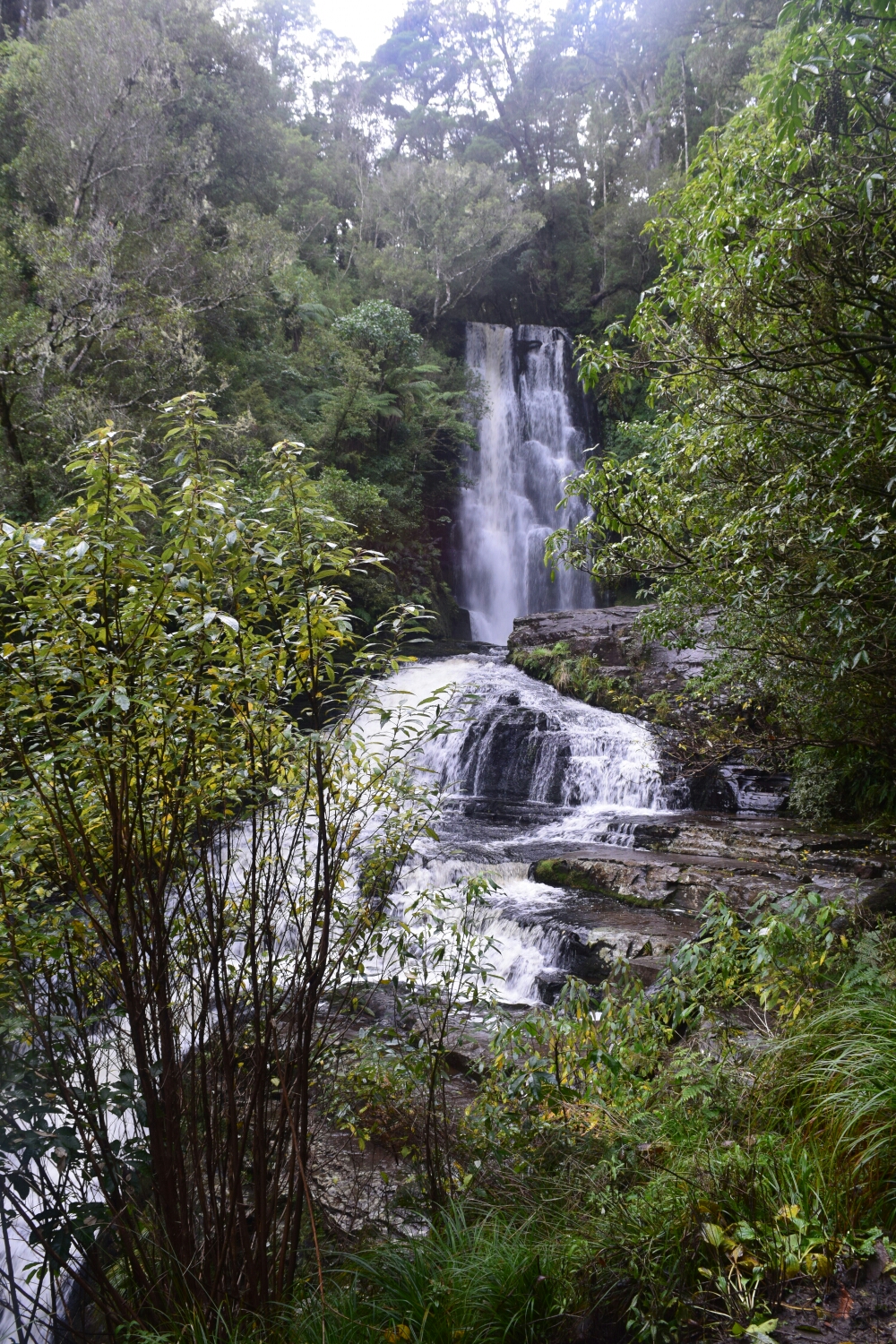 McLean Falls Catlins New Zealand
