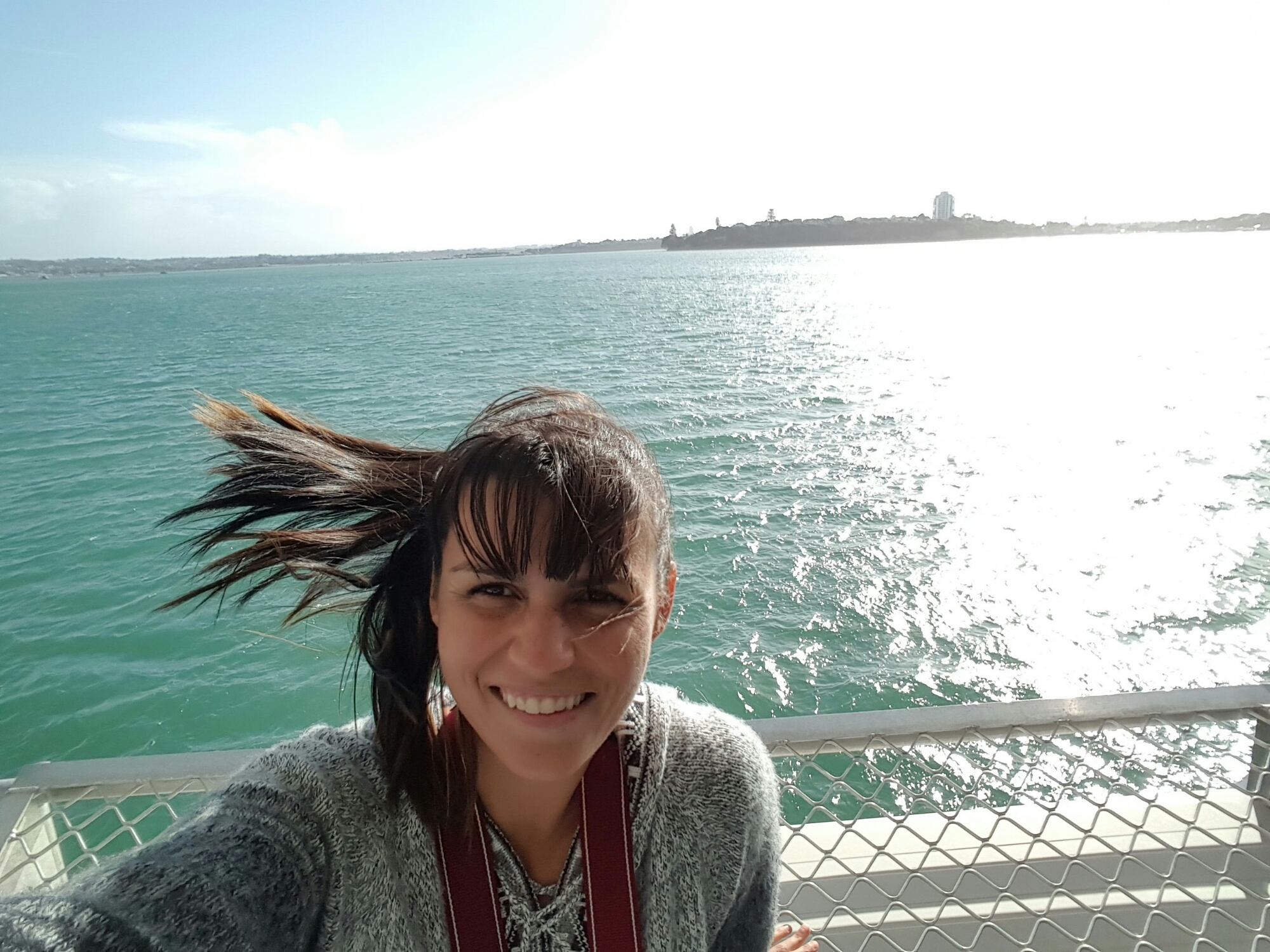 Auckland Harbour from the cruise